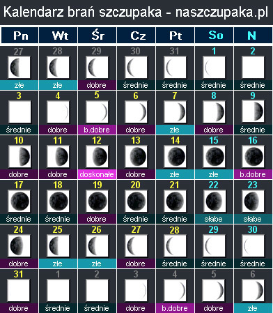Kalendarz brań szczupaka - naszczupaka.pl
